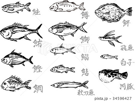 新鮮な魚 イラスト リアル すべてのイラスト画像