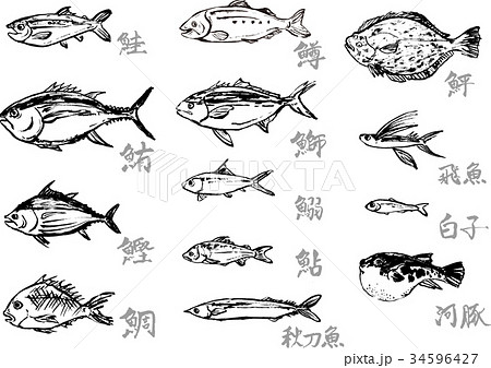 無料イラスト画像 綺麗な手書き 魚 イラスト かっこいい