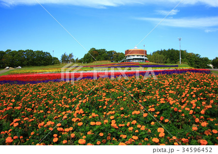 網走市　はなてんと 34596452