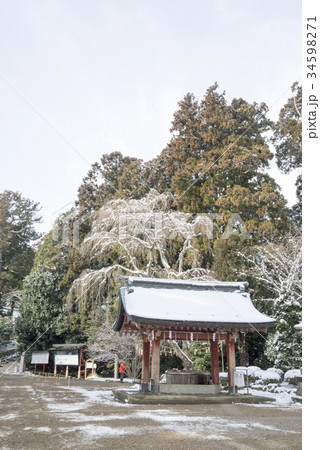 塩竈さまの名で親しまれる「鹽竈神社」眺望のよい松島湾に面した塩釜神社の雪景色志波彦神社 塩竈さまの名で親しまれる「鹽竈神社」眺望のよい松島湾に面した塩釜神社の雪景色志波彦神社 34598271