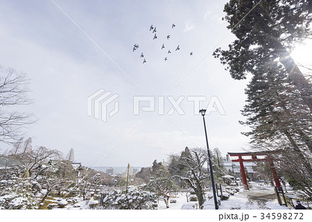 塩竈さまの名で親しまれる「鹽竈神社」眺望のよい松島湾に面した塩釜神社の雪景色と飛び立つ鳩 34598272