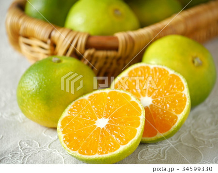 極早生　有田みかん　（横位置アップ） 34599330