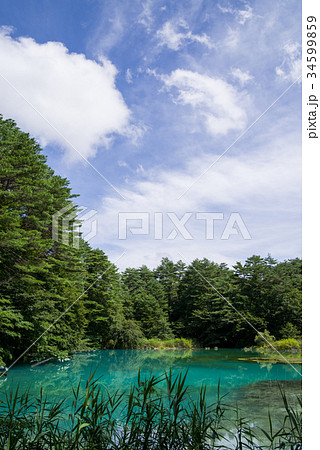 五色沼 青沼 五色沼 青沼 34599859