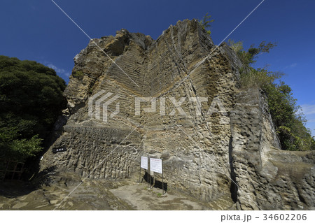 横須賀市鷹取山公園、親不知の岩峰 横須賀市鷹取山公園、親不知の岩峰 34602206