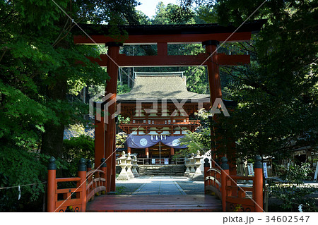 夏の終わり頃の丹生都比売神社 34602547