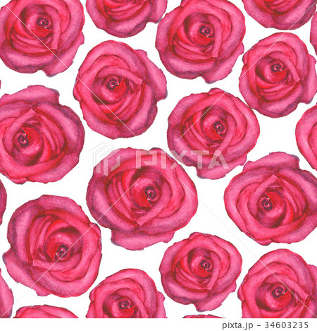 Seamless pattern with roses on white 34603235