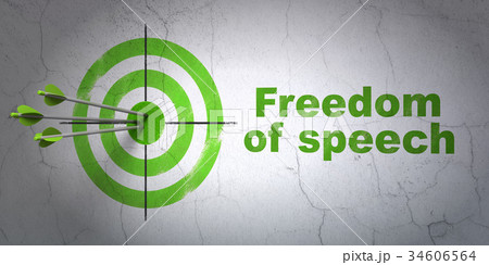 Politics concept: target and Freedom Of Speech on 34606564