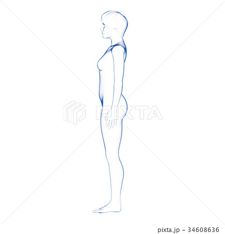 女性の体 ボディ 横のイラスト素材 34608636 Pixta
