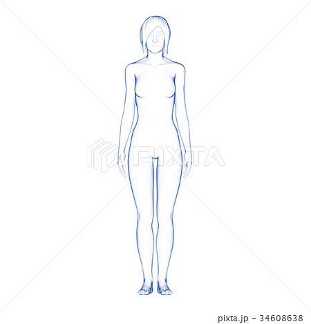 女性の体型 全身のイラスト素材