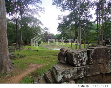 アンコールトム 34608941