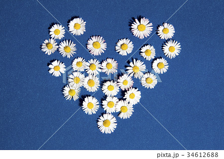 Heart flowers Heart flowers 34612688
