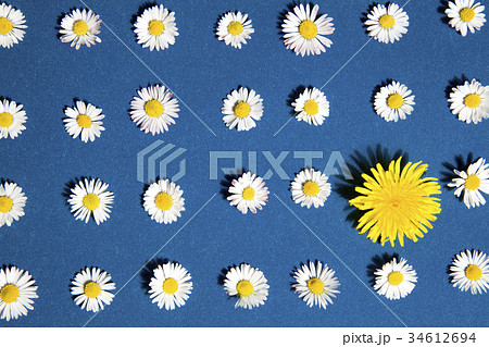pattern flower 34612694