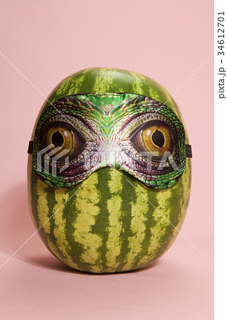 Snake watermelon 34612701