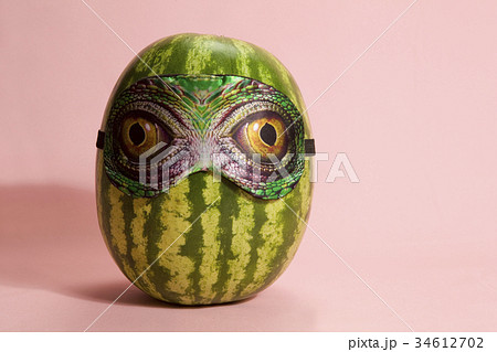 Snake watermelon 34612702