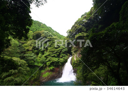 大滝(河津七滝) 大滝(河津七滝) 34614643