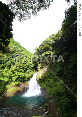 大滝(河津七滝) 大滝(河津七滝) 34614658