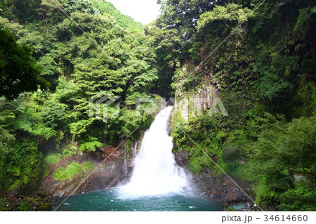 大滝(河津七滝) 大滝(河津七滝) 34614660