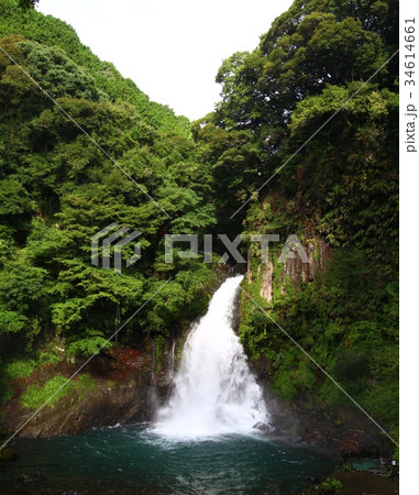 大滝（河津七滝） 34614661