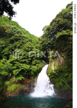 大滝(河津七滝) 大滝(河津七滝) 34614662