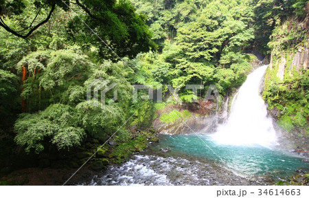 大滝(河津七滝) 大滝(河津七滝) 34614663