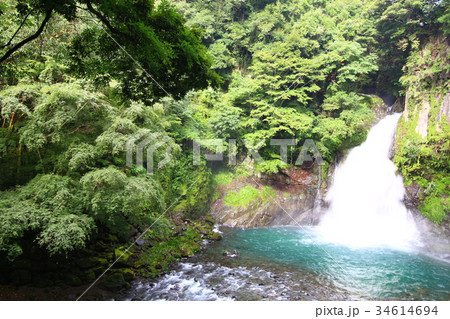 大滝(河津七滝) 大滝(河津七滝) 34614694