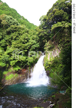 大滝(河津七滝) 大滝(河津七滝) 34614700