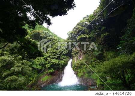 大滝（河津七滝） 34614720