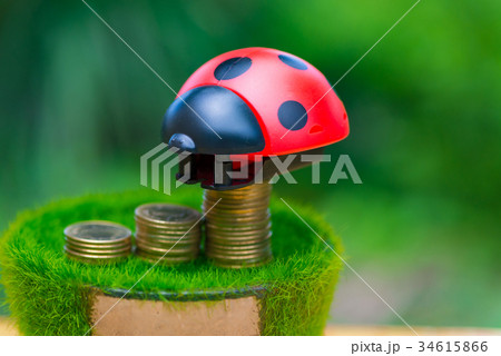 Stack of gold coin on artificial grass in pot Stack of gold coin on artificial grass in pot 34615866