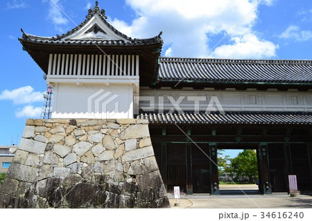 佐賀城公園　歴史と自然と憩いの都市公園 34616240