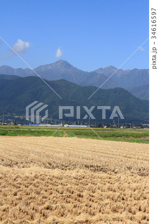 安曇野　刈田の秋 34616597