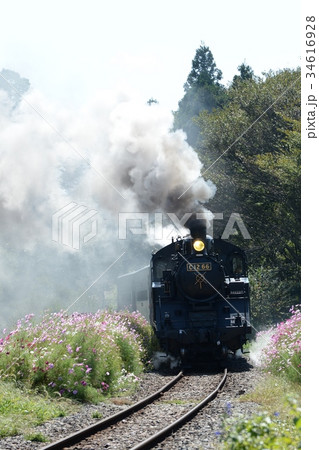 初秋のもおか号 34616928
