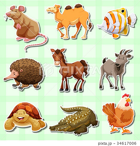 Sticker design for many animals 34617006