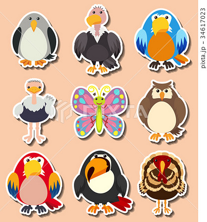 Sticker design with different kinds of birds 34617023