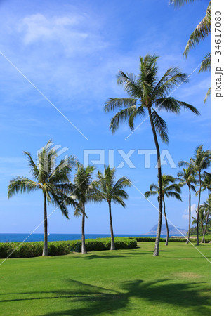 コオリナリゾート　ハワイ 34617080