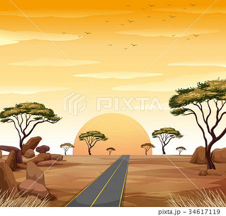 Savanna Scene With Road And Sunsetのイラスト素材