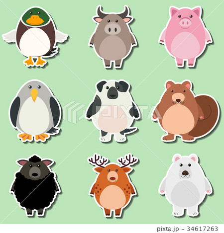 design for cute animals on green background 34617263