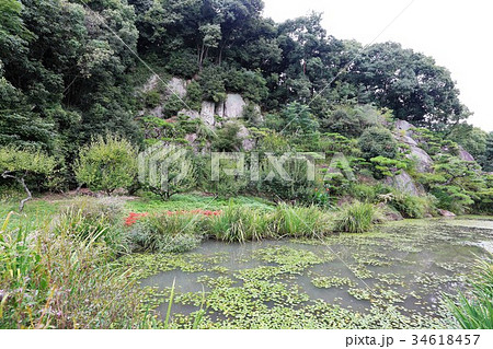 湯築城跡 34618457