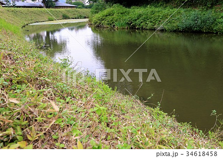 湯築城跡 34618458