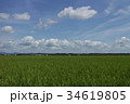 初秋の候 34619805