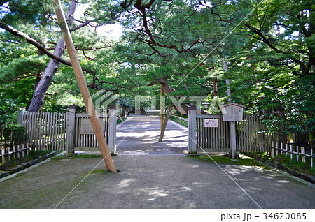石川県金沢市兼六園の写真 34620085