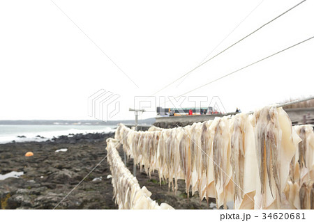 Squid drying on clothesline Squid drying on clothesline 34620681