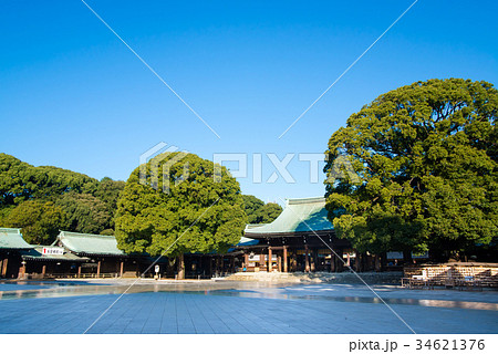 明治神宮 本殿 34621376