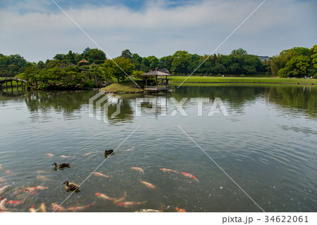 岡山 初夏の後楽園 池の鯉と水鳥 日本三名園の一つ 岡山 初夏の後楽園 池の鯉と水鳥 日本三名園の一つ 34622061