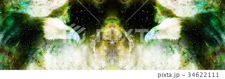 Eagle in cosmic space. Profile portratit. Computer 34622111