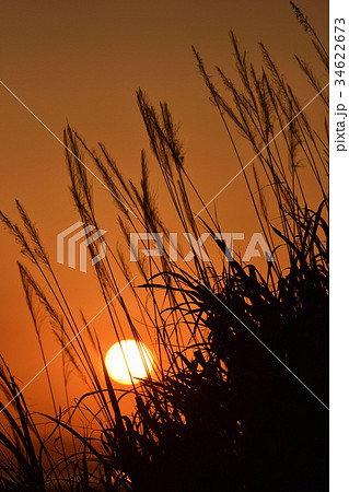 夕日 34622673