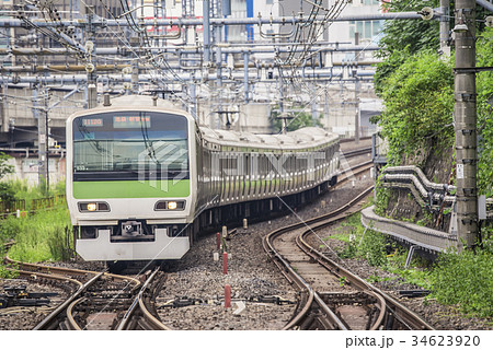 山手線　E231系　内回り　田端駅 34623920