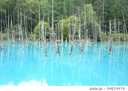 青い池 北海道 美瑛 青い池 北海道 美瑛 34624474