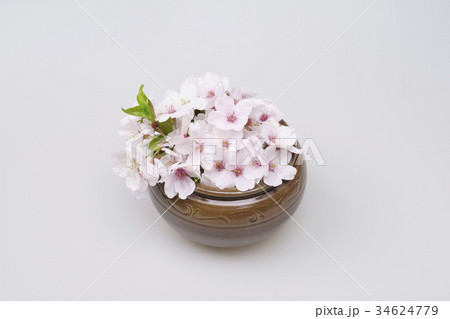 花 桜 春 34624779