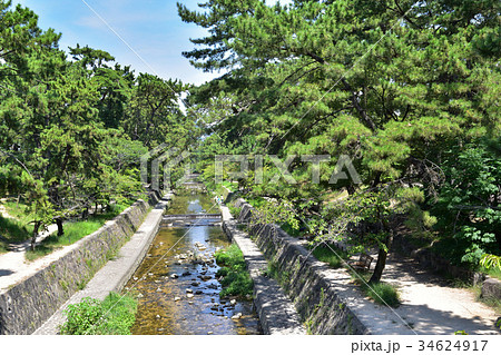 夙川河川敷の風景 34624917