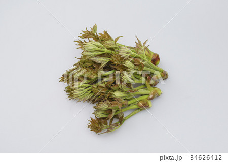 タラの芽 健康 生 34626412